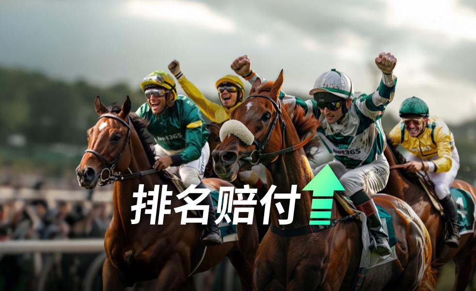 Simplified Chinese Position Payout Imagery