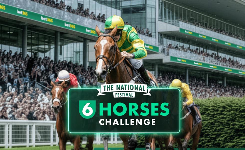6 Horses Challenge