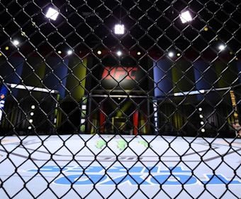 UFC Cage