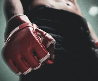 en-br-ufc-belts