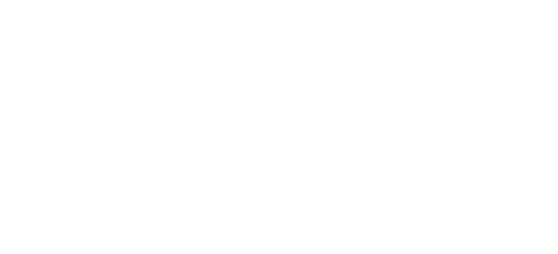 UCL Logo Romanian
